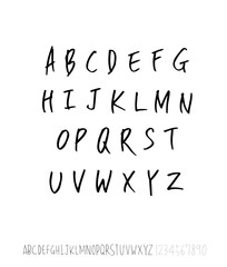 벡터 문자 / 손으로 쓴 글씨체