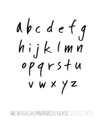 벡터 문자 / 손으로 쓴 글씨체