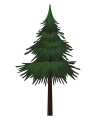 Tree nature landscape