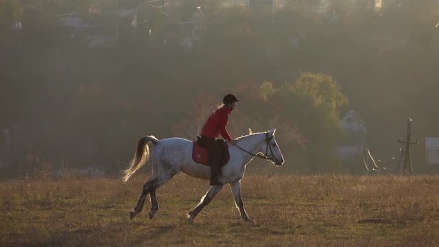 Woman on a horse outdoors in the field. Slow motion