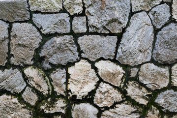 Mossy Stone wall texture close up in the park