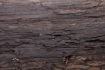 colorful pastel wood planks texture or background