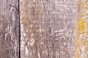 Obraz premium Wood Texture, Wooden Plank Grain Background, Desk in Perspective Close Up, Striped Timber, Old Table or Floor Board