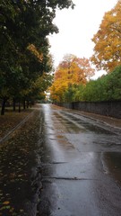 Obraz premium autumn in the park