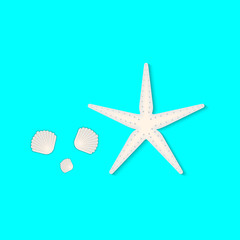 Starfish and shell elements for summer theme., Summer concept