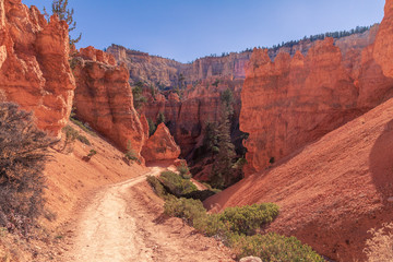 trail in bryce canyon in usa