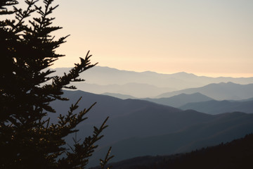 The Great Smoky Mountains, at Knoxville Tennessee, USA - obrazy, fototapety, plakaty