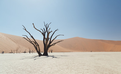 Fototapeta na wymiar Namibia Sossusvlei