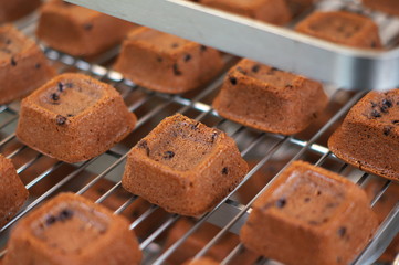 チョコレート焼菓子作り