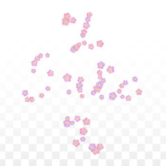 Vector Realistic Pink Flowers Falling on Transparent Background.  Spring Romantic Flowers Illustration. Flying Petals. Sakura Spa Design. Blossom Confetti. Design Elements for Wedding Decoration.