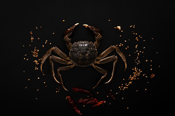 Raw Shanghai hairy crab or Chinese mitten crab (Eriocheir sinensis) with Chili and herb on black background