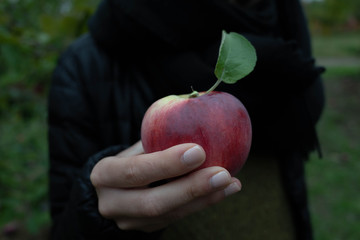 Holding an Apple
