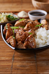 chicken and rice in asian style
