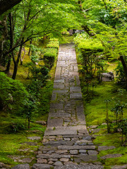 Garden path