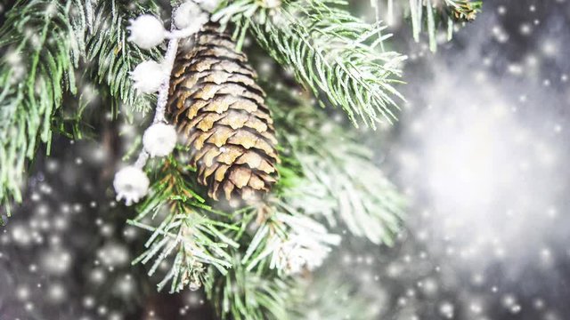 Natural Christmas New Year's toy pine cone and Christmas tree branch close-up. Snowfall, falling snowflakes, spots white color. Winter Christmas New Year background. Cinemagraph seamless loop