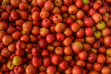 many red plums