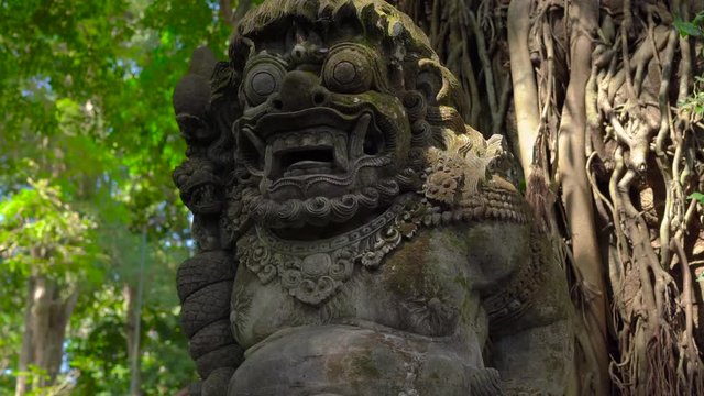 Steadicam shot of a sacred stone statues in the natural park Monkey forest in Ubud village, Bali, Indonesia