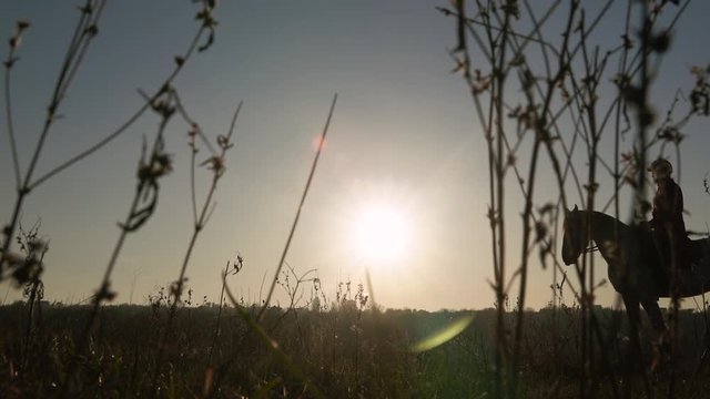 Horsewoman riding on their horse over a meadow sunset . Silhouette. Slow motion. Side view