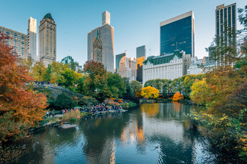 Autumn color along The Pond and buildings in Midtown Manhattan, New York City