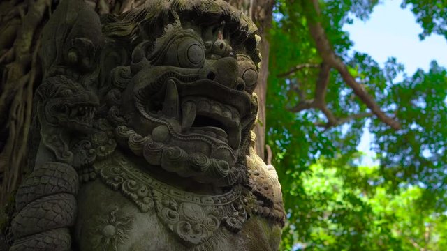 Steadicam shot of a sacred stone statues in the natural park Monkey forest in Ubud village, Bali, Indonesia