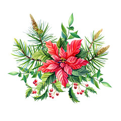 Watercolor Christmas bouquet with Red poinsettia flowers,Holly,leaves,berries,pine,spruce,