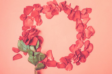 A single red rose and fallen petals are lined in a round frame on a bright red background. Toning. Flat layout. Copy space. View from above.