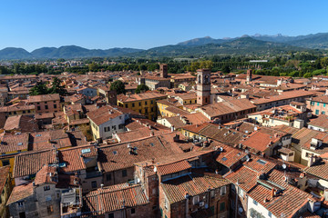 View on city from Torre delle Ore clock tower in Lucca. Italy