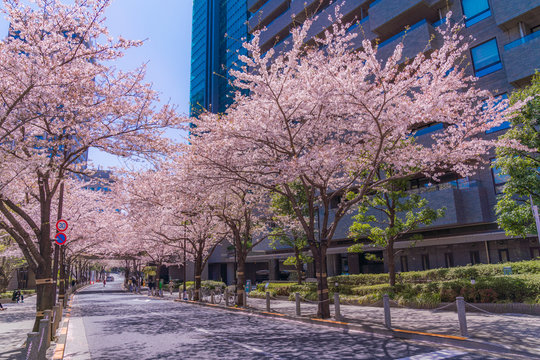 106 Best 六本木一丁目images Stock Photos Vectors Adobe Stock 106 Best 六本木一丁目images Stock Photos Vectors Adobe Stock
