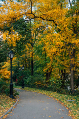Naklejka premium Autumn color along a walkway at Central Park, in Manhattan, New York City