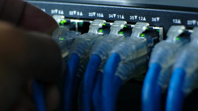 Network Administrator plug in cable on port. LED port status is blink. Network gigabit switch for high speed network