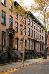 Fototapeta na wymiar Brownstones and fall color in Brooklyn Heights, New York City