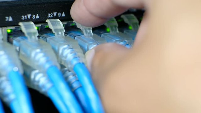 Network Administrator plug in cable on port. LED port status is blink. Network gigabit switch for high speed network