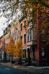 Fototapeta na wymiar Autumn color and townhouses near Rittenhouse Square, in Philadelphia, Pennsylvania.
