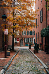 Autumn color along Philip Street in Society Hill, Philadelphia, Pennsylvania.