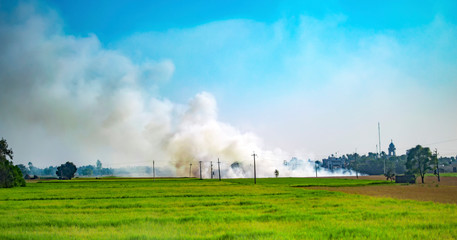 Burning grass and paddy in the fields showing smoke