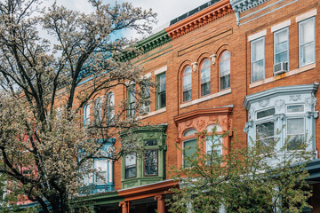 Fototapeta premium Spring colors and row houses in Charles Village, Baltimore, Maryland