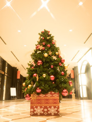 クリスマスツリー
