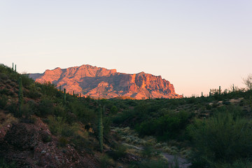 Fototapeta premium Sunset/Golden Hour