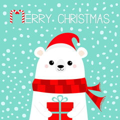 Merry Christmas. White polar bear cub face holding gift box present. Red Santa hat, scarf. Cute cartoon baby character. Happy New Year. Arctic animal. Flat design Hello winter. Blue snow background.