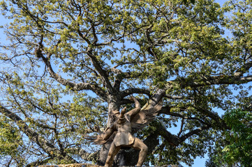 Fototapeta na wymiar statue and branches of trees