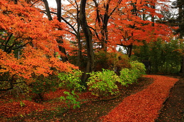 紅葉の一ノ倉邸