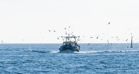 Guilvinec, retour de pêche, Bretagne, Finistère, France. © Bernard GIRARDIN