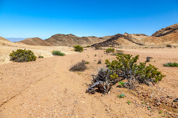 Fototapeta na wymiar Moon Landscape, an area of the Namib Desert on the Namibian Skeleton coast that looks like the moon.