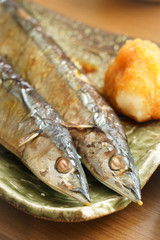 Grilled saury