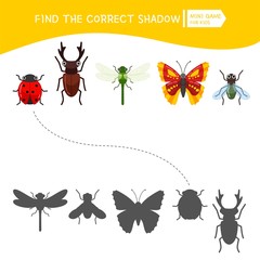 Educational  game for children. Find the right shadow. Kids activity with cartoon insects.