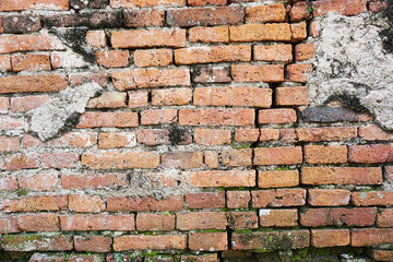 Obraz premium Antiques Red brick wall with mos.