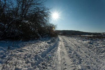 Snow-white winter forest pathways with deep sun and shadows