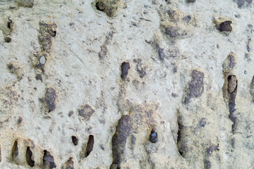 close up of gray stone texture with holes. Natural background