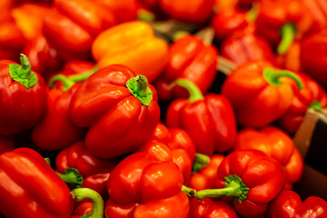 Obraz na płótnie Canvas lots of red peppers 