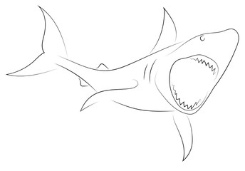 Black line shark attacks on white background. Shark. Sketch style. Vector graphic icon animal.